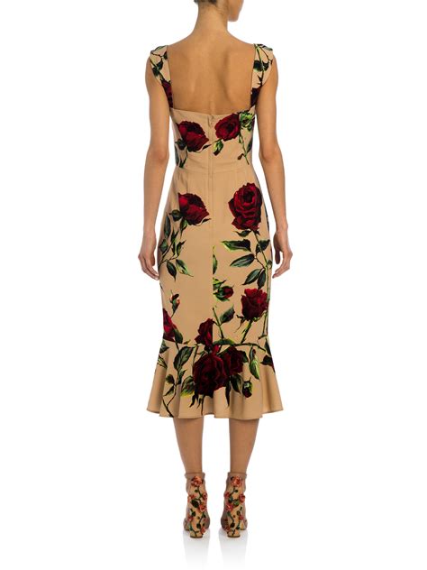 dolce gabbana rose print dress